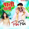 About Pani Pani Song